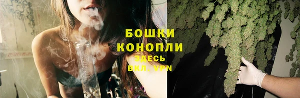 крисы Бородино