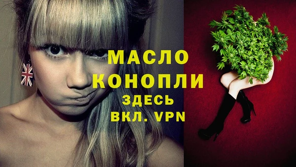 крисы Бородино