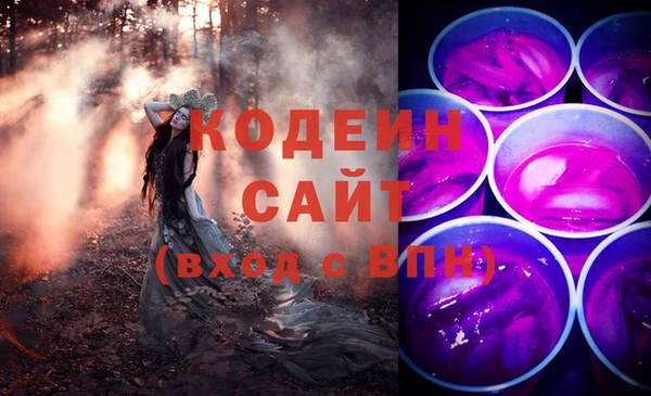 крисы Бородино