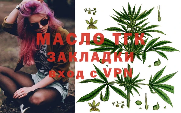 крисы Бородино
