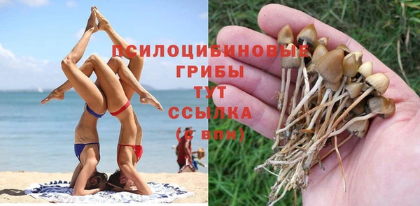 трава Бронницы