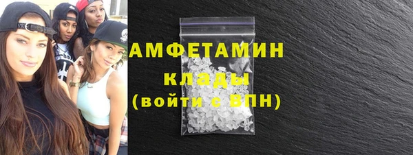 крисы Бородино