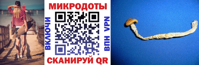 Галлюциногенные грибы прущие грибы Ворсма