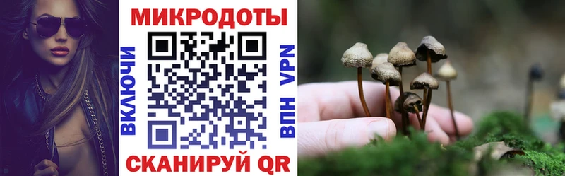 купить наркоту Ворсма Галлюциногенные грибы MAGIC MUSHROOMS